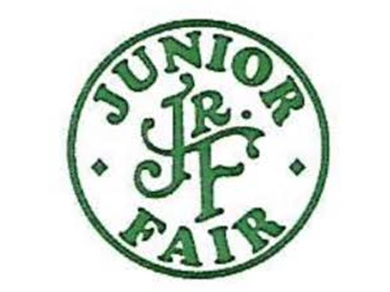 Logo for 2027 Fayette County Fair